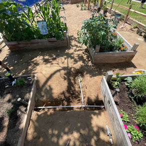 Students Create Dan Langhoff Science Garden with Brymal Plants