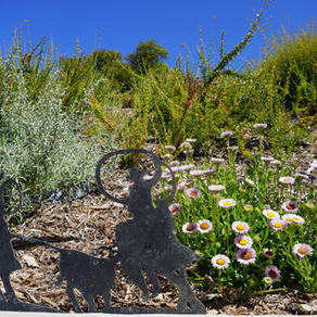 Brymal Plants cultivates sustainability at Ramona Ranch Winery